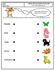okul öncesi kavram gelişim çalışmaları, renk kavramı, renkleri eşleştir çalışmaları